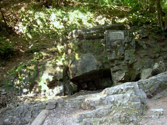 La sorgente del Lambro