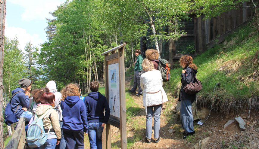 viaggio di istruzione al parco faunistico adamello