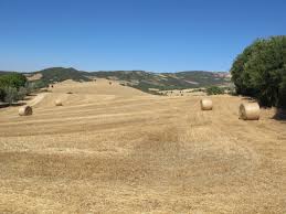 Siena, le Crete Senesi e la Val d’Orcia