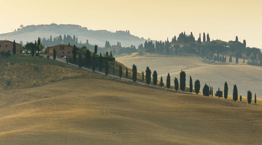 Viaggio di istruzione e gita scolastica a Siena e Val D'orcia