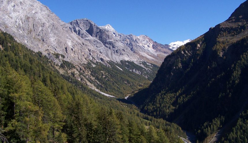 Viaggio d'istruzione al Parco Nazionale dello Stelvio