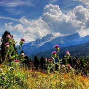 Parco Nazionale Dolomiti Bellunesi