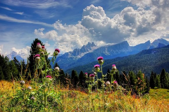 Parco Nazionale Dolomiti Bellunesi