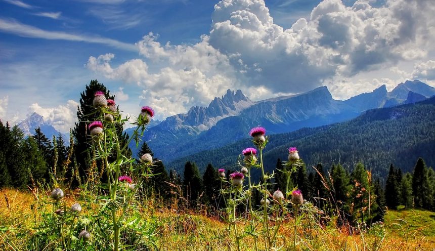 Viaggio di istruzioni sulle dolomiti