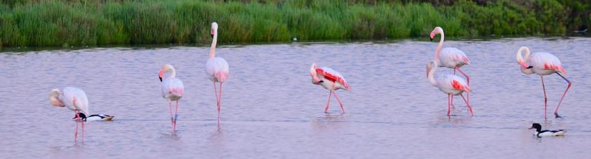 Viaggio di istruzione per il Parco Delta Po