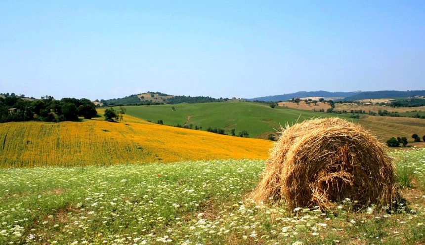 Viaggio di istruzioni ed escursioni per la Maremma toscana