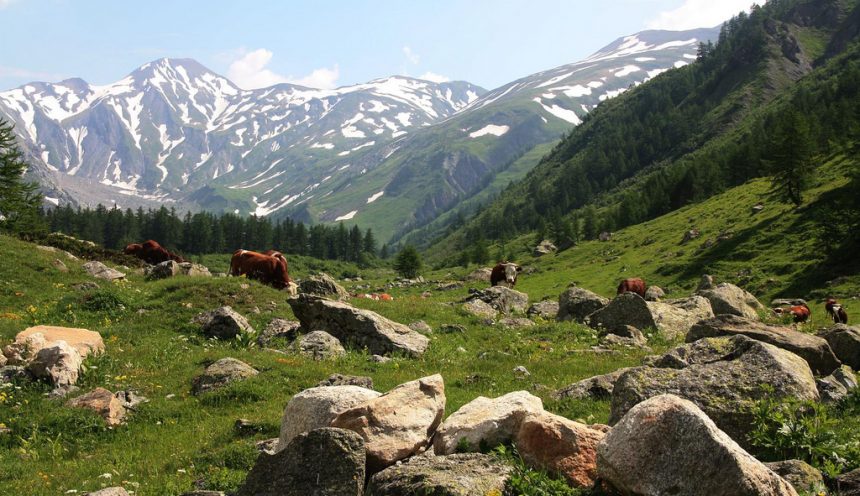 Uscita didattica sul Monte Bianco e nella Val Ferret