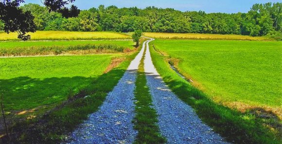Milano, Pavia e il Parco del Ticino