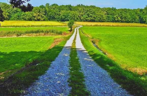 Milano, Pavia e il Parco del Ticino