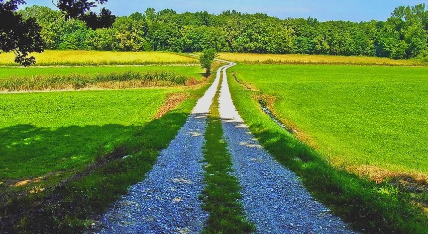 Viaggio di istruzione e turismo scolastico con escursione al Parco del Ticino