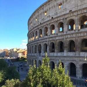 Roma e i Parchi