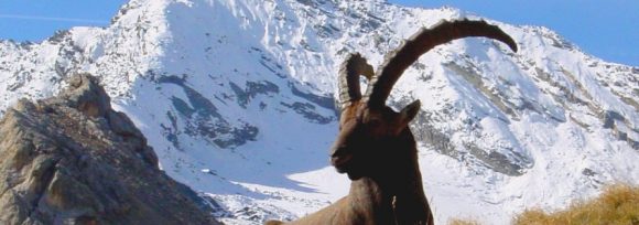 Parco Nazionale Gran Paradiso