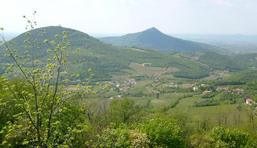 Viaggio di istruzione e turismo scolastico per i colli Euganei