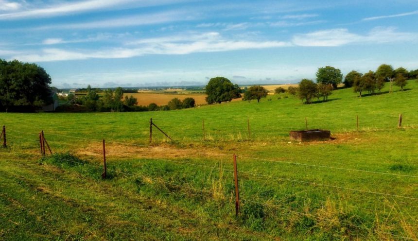 Progetto formativo e conoscenza di un'azienda agricola sostenibile