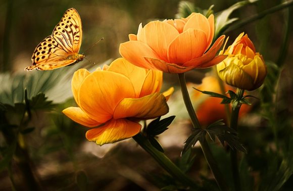 Siamo tutti biodiversi