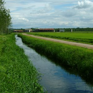 Il Parco del Ticino e Morimondo