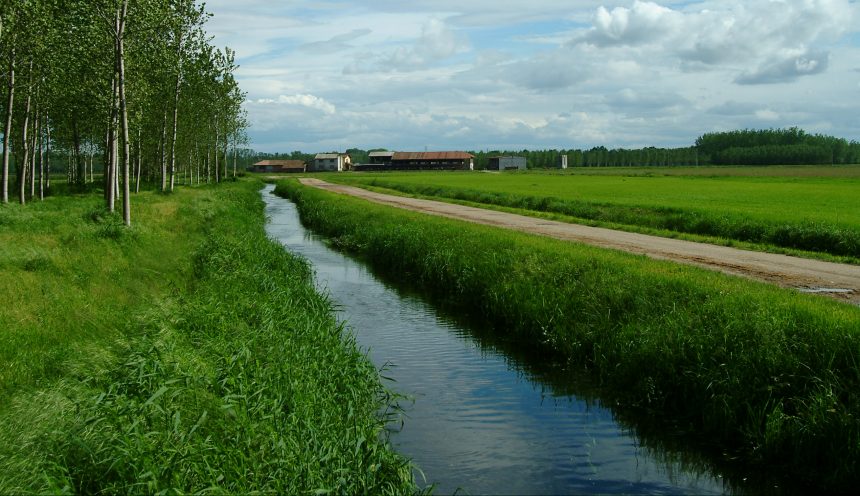 Uscita didattica per conoscere il Parco del Ticino