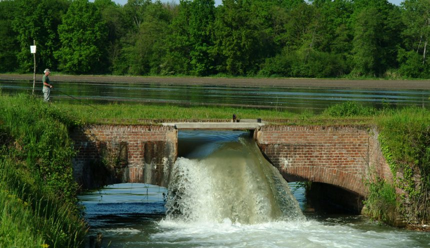 Uscita didattica lungo i canali del Parco del Ticino