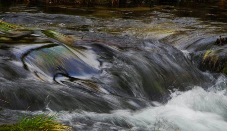 Progetto formativo dedito alla conoscenza del corso del fiume