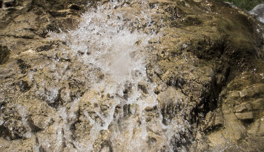 Progetto formativo dedito alla conoscenza del corso del fiume