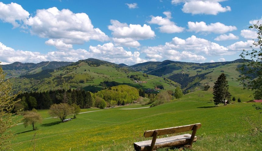 viaggio d'istruzione e turismo scolastico nella Foresta Nera.