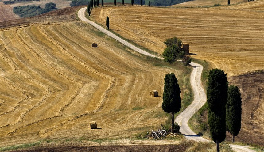 Uscita didattica: San Quirico Pienza