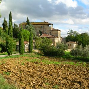 Montalcino e le sue Abbazie