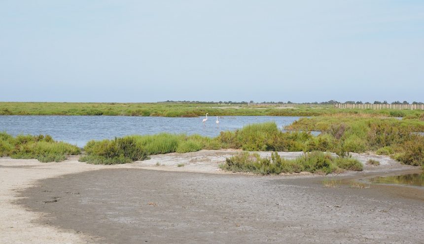 Viaggio d'istruzione in Provenza, Camargue e Parco del Luberon