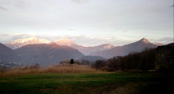 Rezzago e i funghi di terra