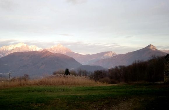 Rezzago e i funghi di terra