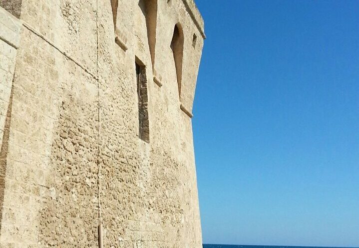 viaggio d'istruzione a Torre Guaceto