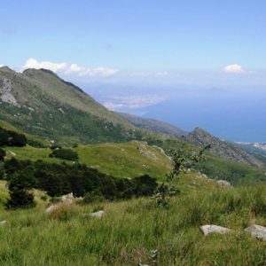 Parco del Beigua in compagnia dei lupi!