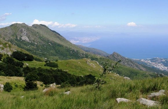 Parco del Beigua in compagnia dei lupi!