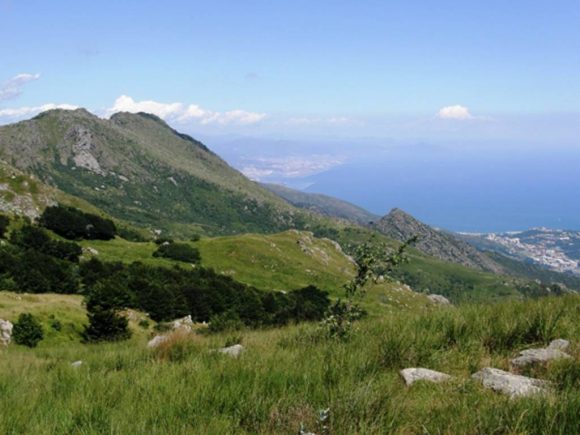 Parco del Beigua in compagnia dei lupi!