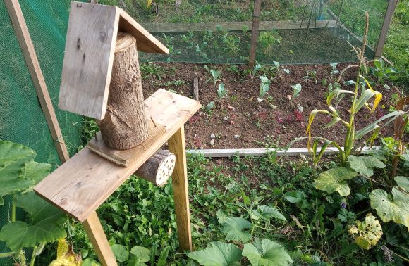 Imparare dalla natura in Val Gandino