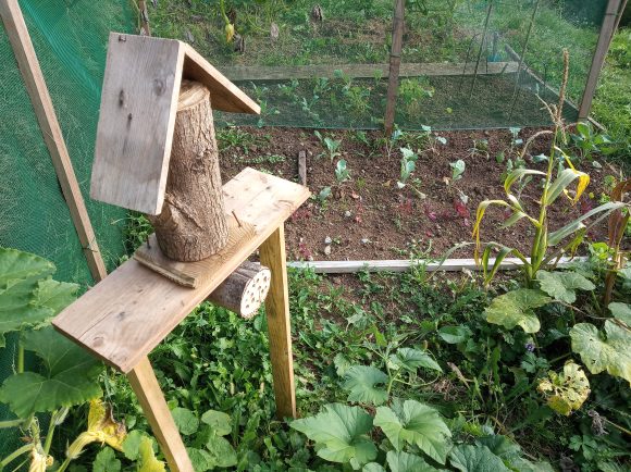 Imparare dalla natura in Val Gandino