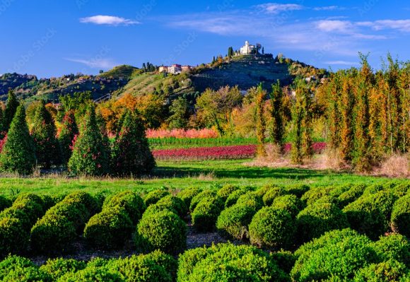 Le piramidi di Montevecchia: natura e mistero nel Parco del Curone