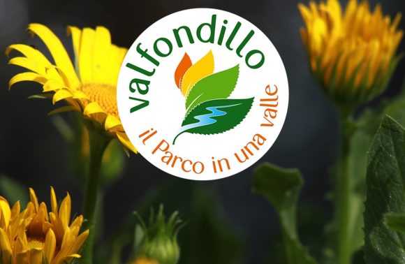 Val Fondillo – Parco Nazionale Abruzzo, Lazio, Molise