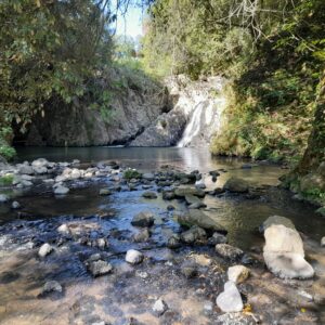 La Civiltà Etrusca: Tarquinia E Cerveteri